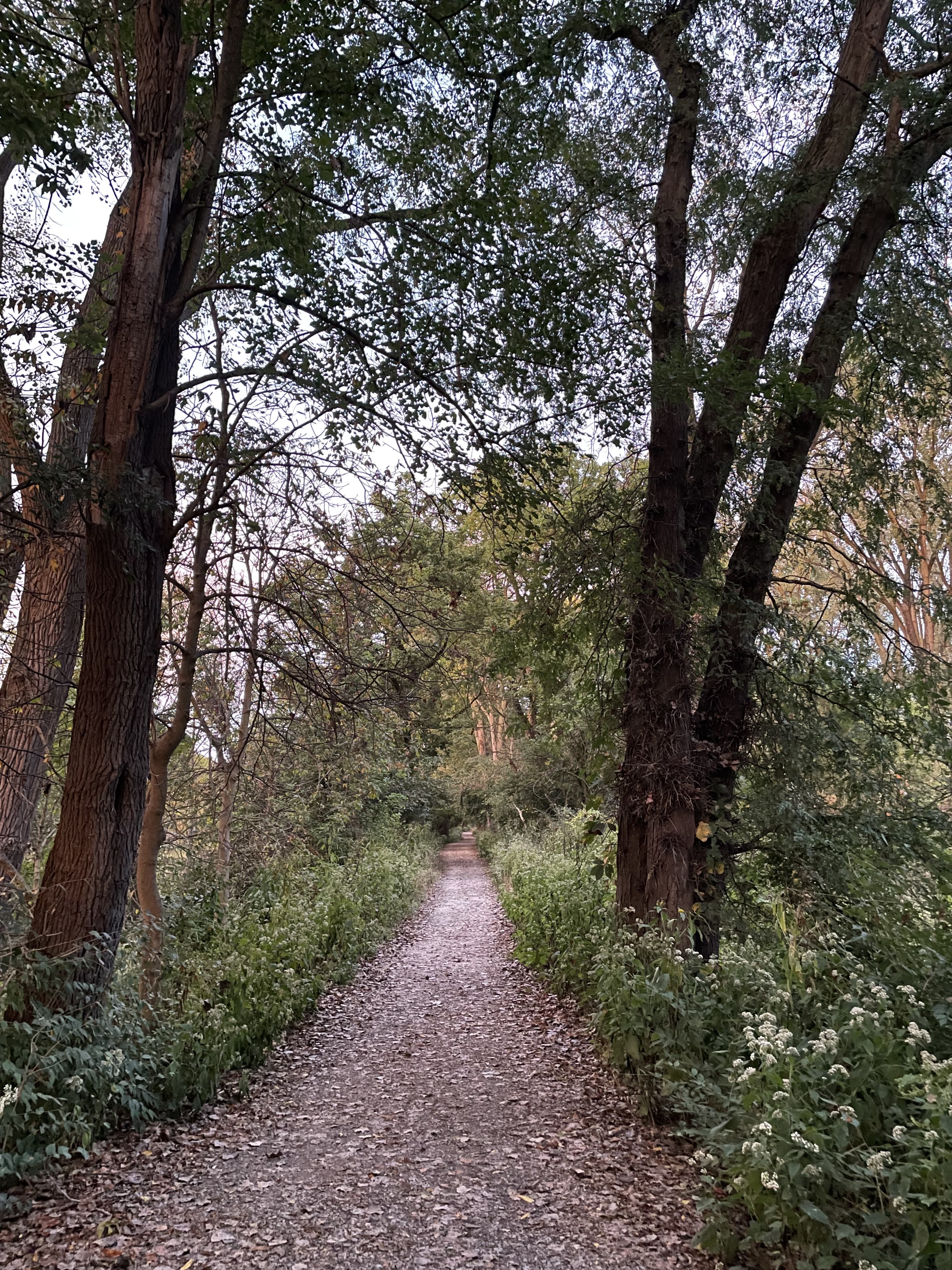 Another public park path